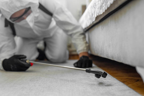 Professional Termite Control technician working in Zeigler, IL