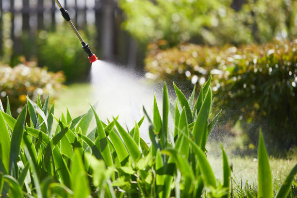 24/7 Emergency Termite Control experts in Zeigler, IL
