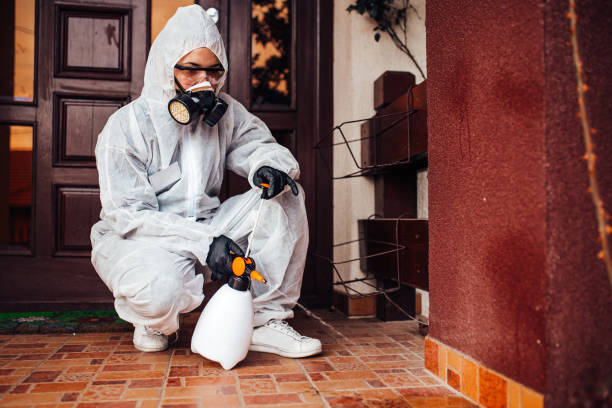 Reliable Termite Control contractor in Zeigler, IL by Nex Pest Control