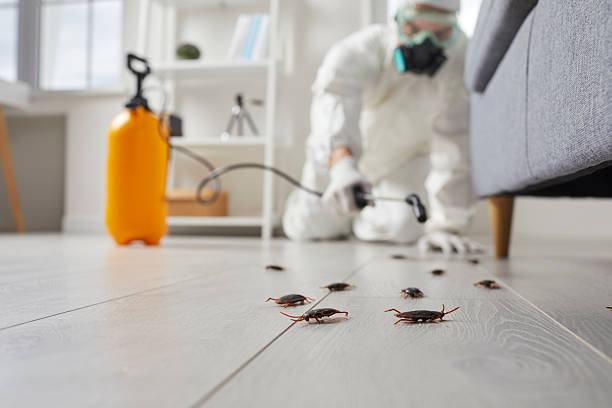 Trusted Termite Control service in Zeigler, IL - Nex Pest Control