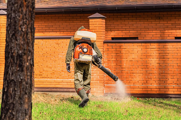 Trusted Bed Bug Control service in Zeigler, IL - Nex Pest Control